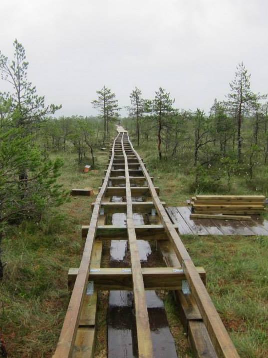 Viru bog walkway under construction