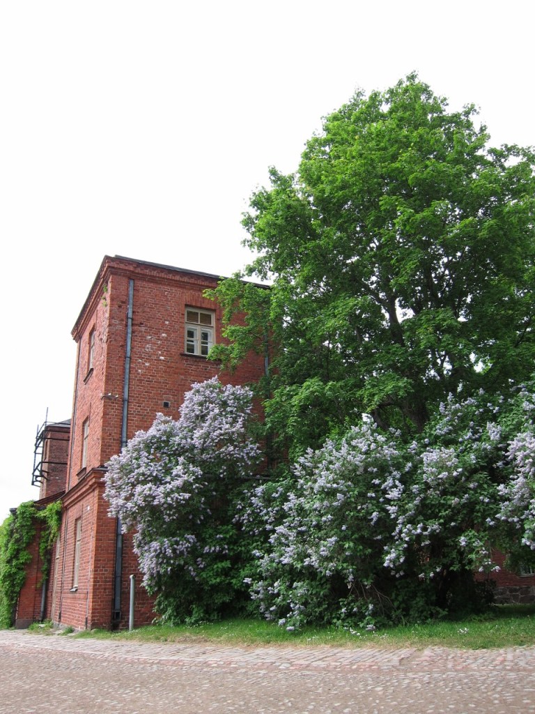 a day on Suomenlinna 
