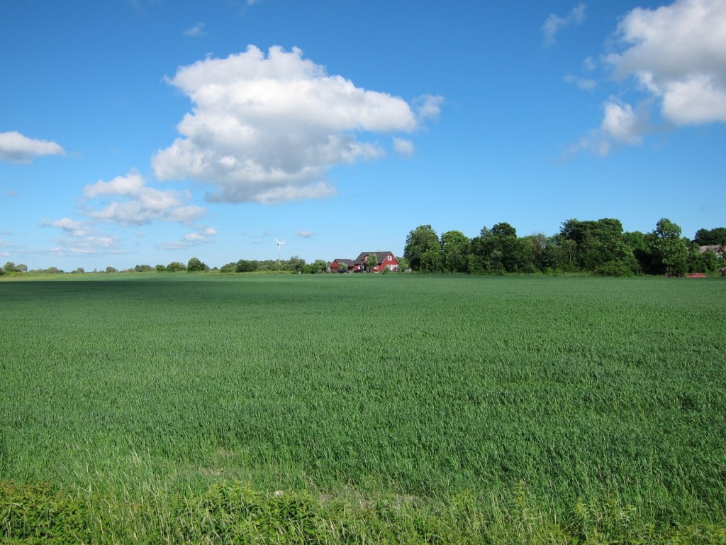saaremaa farm