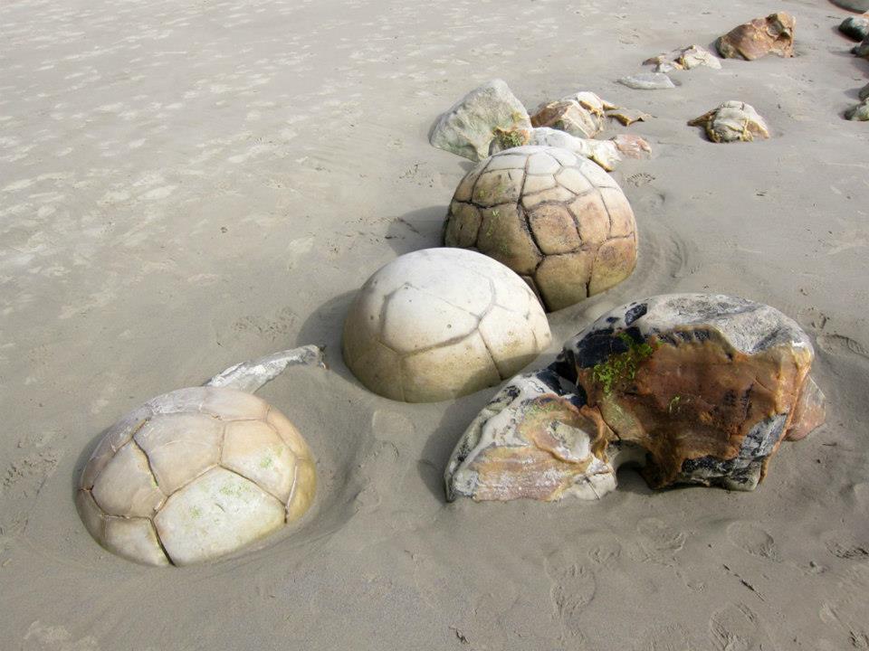 Moeraki boulders