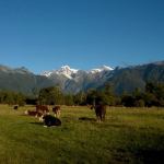 The #1 SG New Zealand Working Holiday Visa Guide for 2025