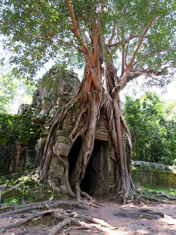 Ta Som's east gateway