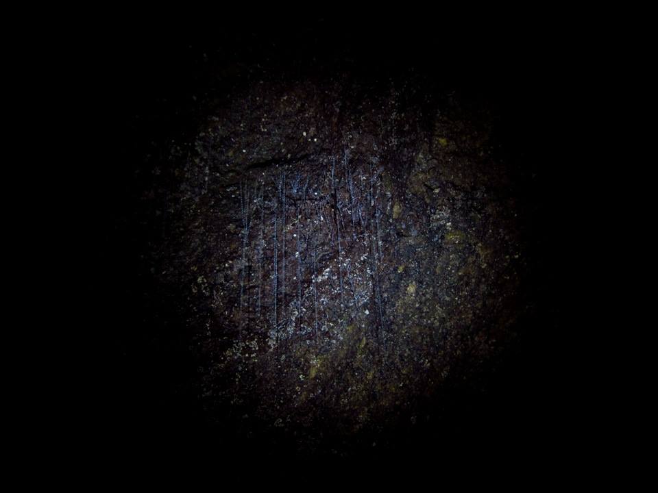 Abbey Caves glow worms