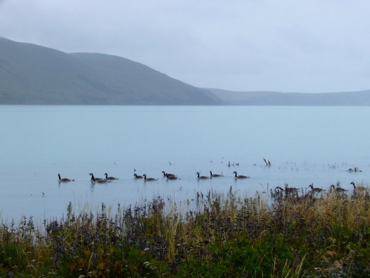 167465_10150091347276801_4155195_n