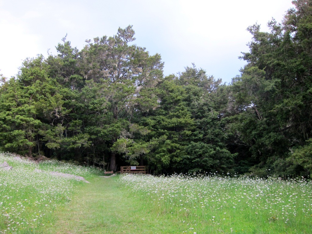 Whangarei Abbey Caves