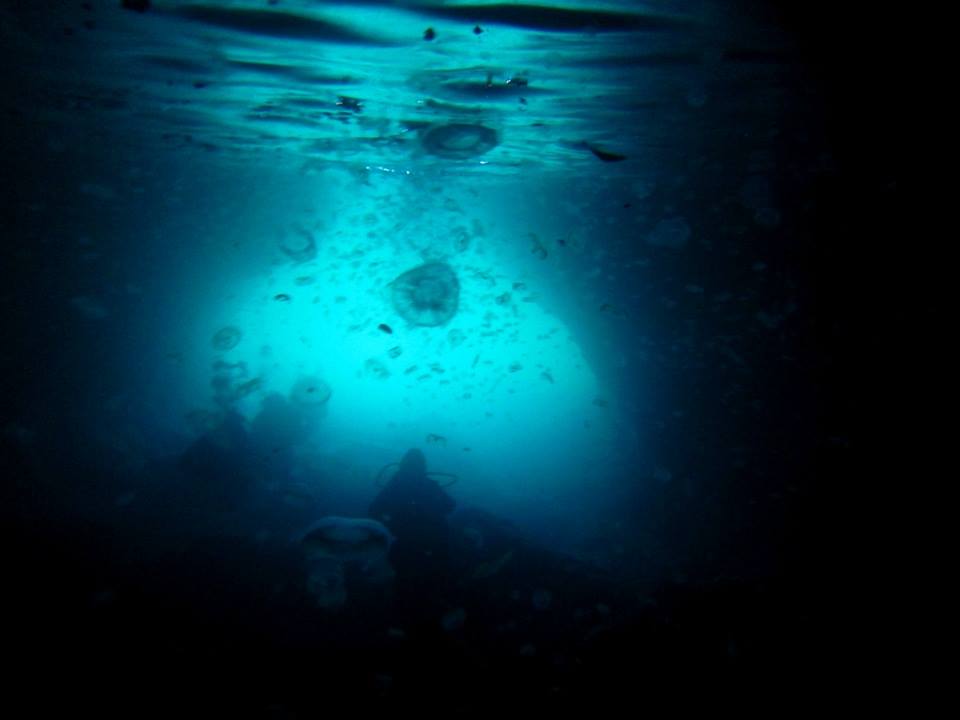 Poor Knights Islands