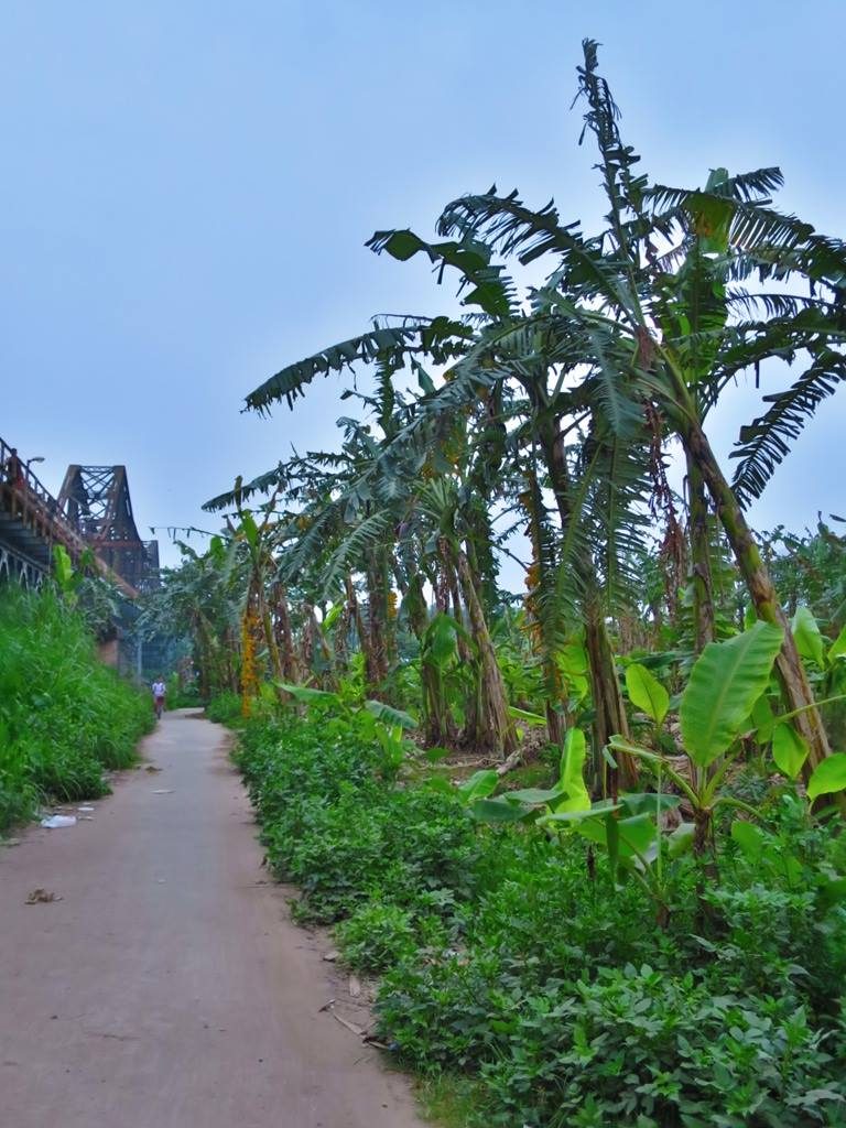 13147530_10153675002596801_2463214520752166954_o