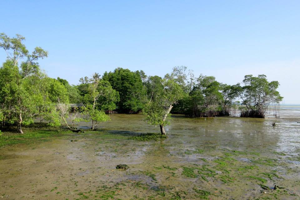 Two Weeks in Singapore: 50+ Fun Things to Do in the Lion City 2