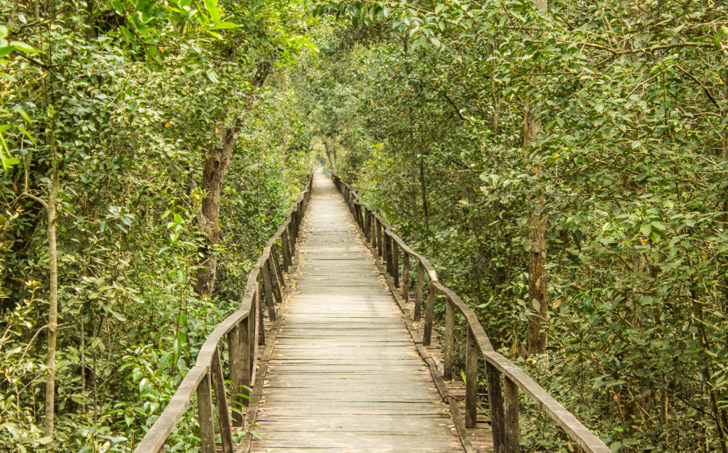 Impulse Decisions: 24 Travel Bloggers Share Their Most Memorable Choices 10