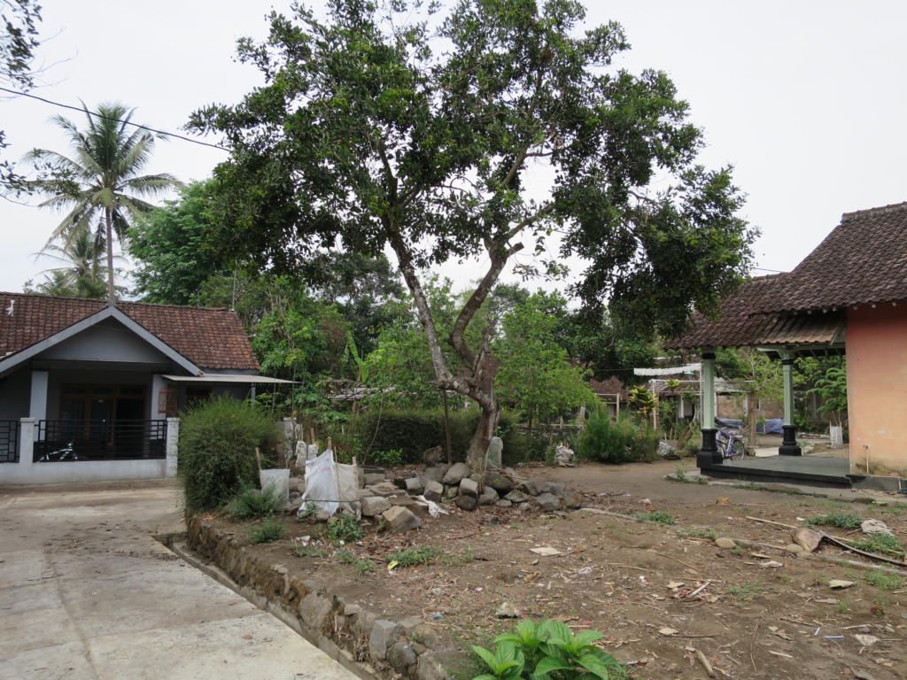 Mendut, Pawon and Tempeh: What's Around Borobudur