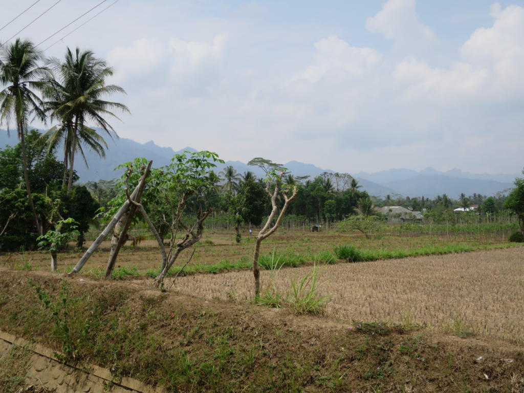 Mendut, Pawon and Tempeh: What's Around Borobudur