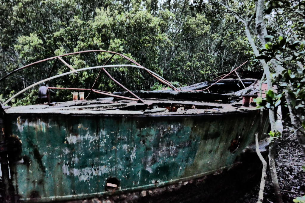 SS Heroic wreck Homebush Bay