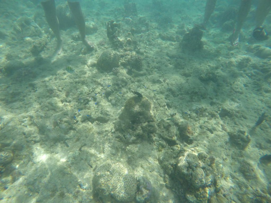 Island hopping from Bohol